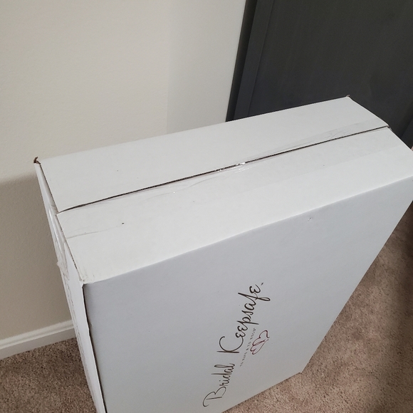 Tony Ward Nina Wedding Dress - Picture 16 of 16